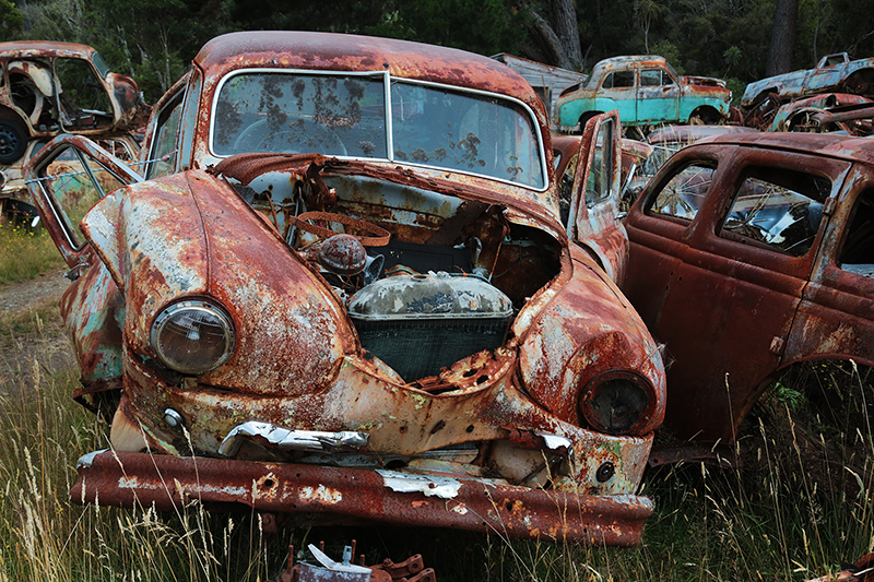 Smash Palace : Car Wreckers : Horopito : New Zealand : Richard Moore : Journalist : Photographer :